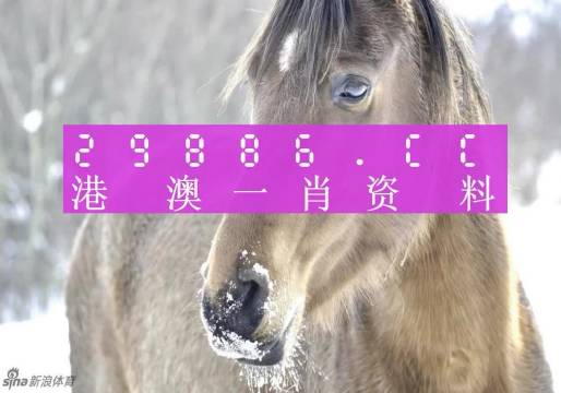 澳门精准一肖一码一一中|精选解析解释落实
